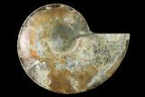 Agatized Ammonite Fossil (Half) - Madagascar #139670-1